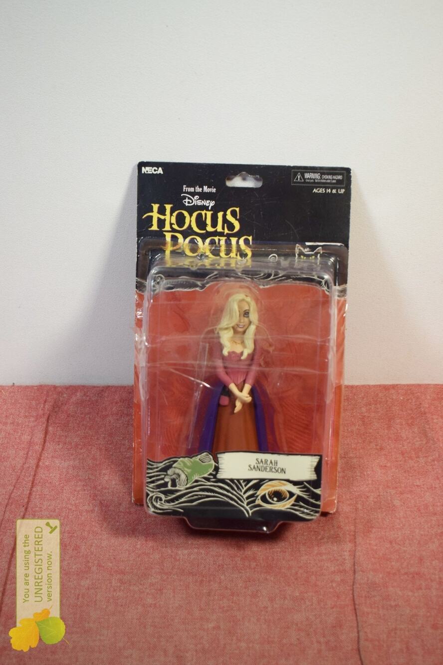 NECA Hocus Pocus Toony Classics Sarah Sanderson 6” Figure (Pack Wear)